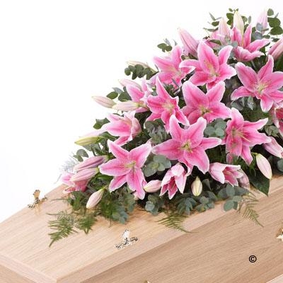 Lily Casket Spray   White