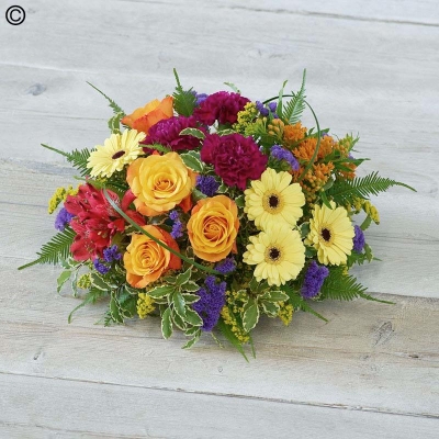 A Florist Choice Posy