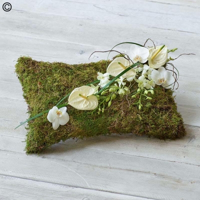 Natural Pillow white