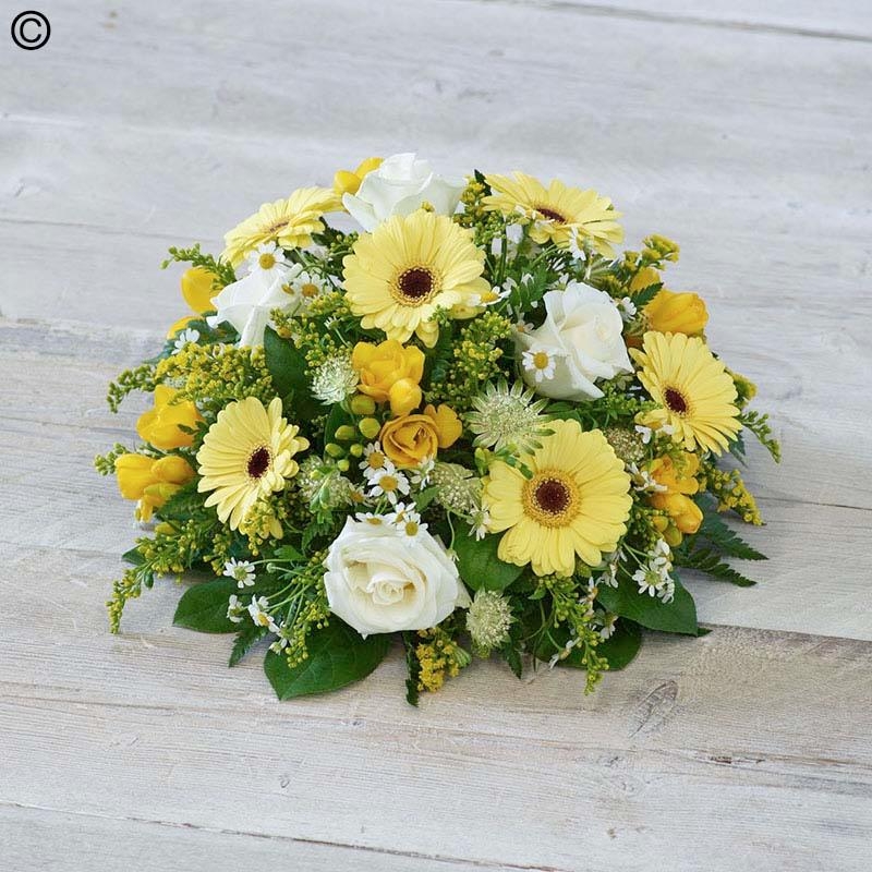 Florist Choice Posy Brights